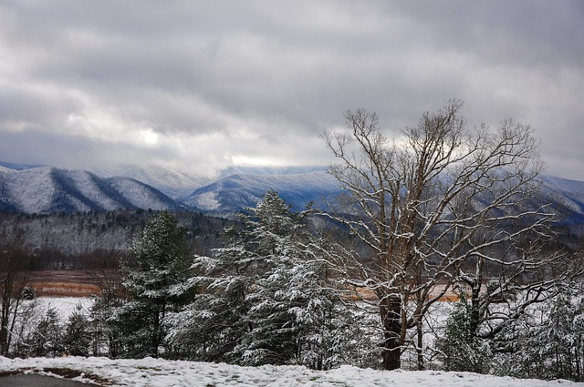 A snowy forest with mountains in the background and trees covered in snow in Great Smoky Mountains NP