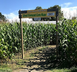 The great vermont corn maze