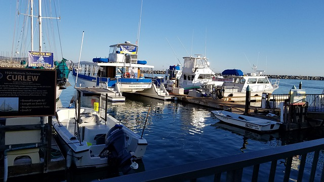 A group of boats are docked in a marina in San Diego.