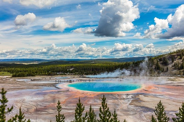 Grand Prismatic Spring in Yellowstone surrounded by trees under a cloudy sky.