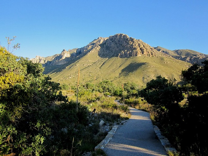 A path in mckittrick canyon in guadalupe mountains np with a mountain in the background