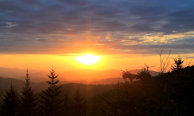 A sunset over a mountain range with trees in the foreground in Great Smoky Mountains NP