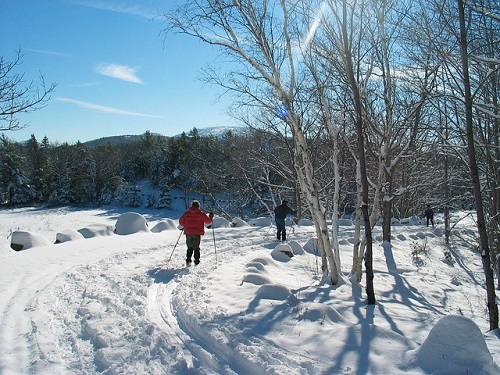 A man in a red jacket is cross country skiing in the snow in Acadia NP