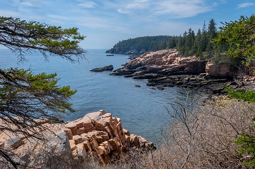 A cliff overlooking a body of water with trees in the foreground in Acadia NP