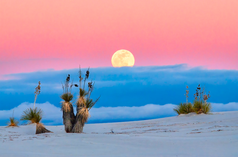 A full moon is rising over a desert landscape in white sands national park