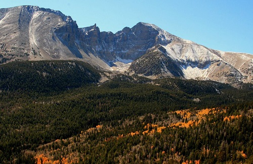 A mountain covered in snow and trees with a blue sky in the background in Great Basin National Park