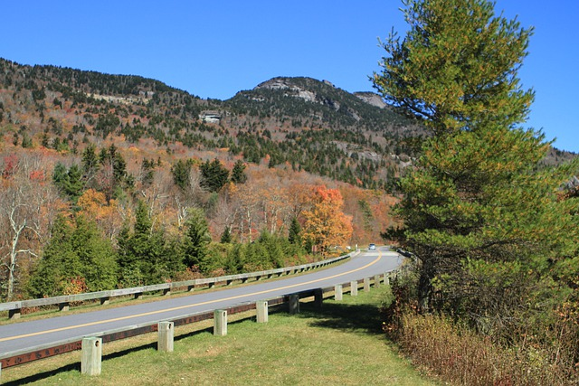 Blue ridge parkway going through a forest with mountains in the background.