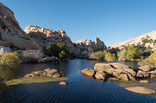 A lake surrounded by rocks and trees in the middle of a canyon in Joshua Tree NP.