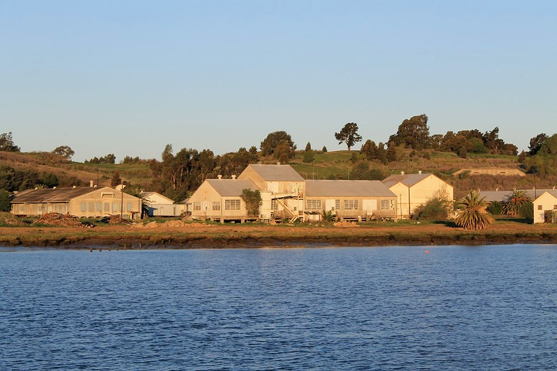 A row of houses sit on the shore of a lake