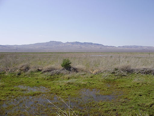 A large grassy field with mountains in the background and a swamp in the foreground.