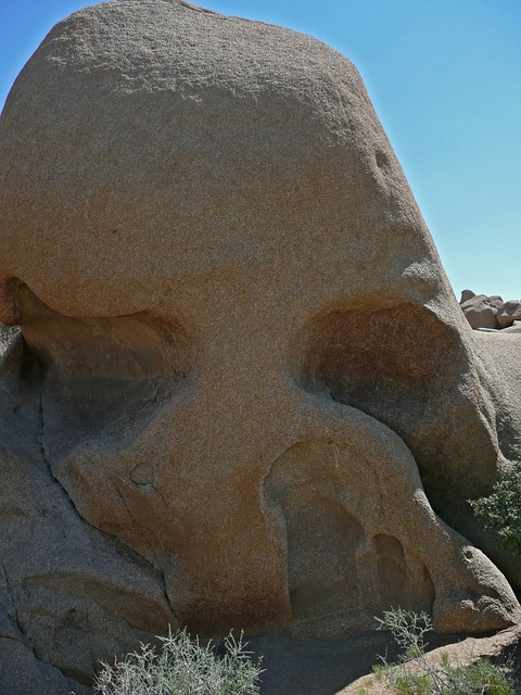 A large rock in the shape of a skull in Joshua Tree NP