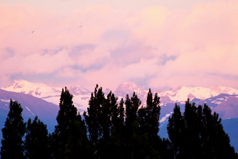 A sunset over a snowy mountain range with trees in the foreground