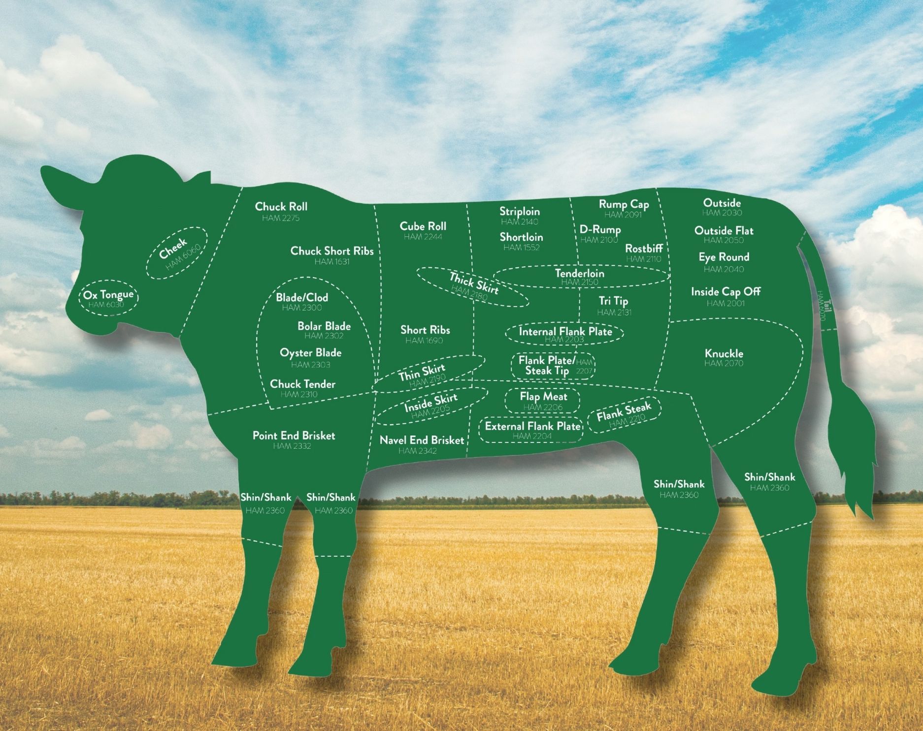 A green silhouette of a beef standing in a field marked with the various cuts of beef overlayed.