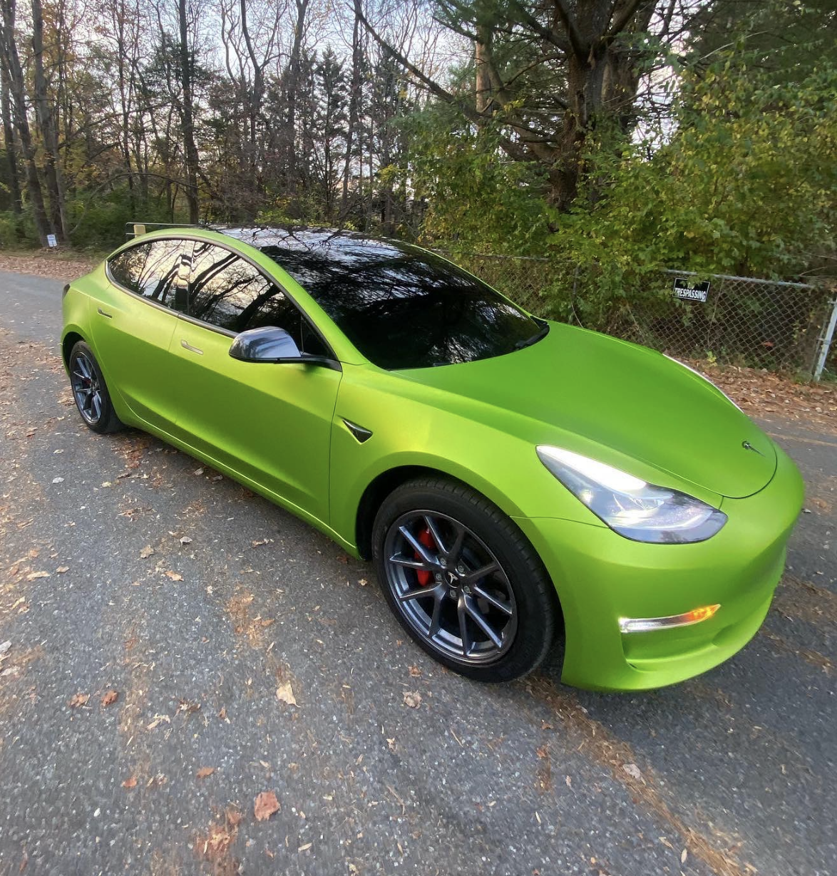 Paint Protection Films (PPFs)