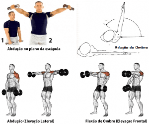 Crucifixo / aberturas inclinado com halteres - Esta variação do movimento  aberturas, …