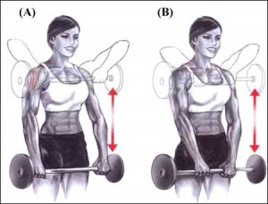 Elevação lateral com halteres (ou abdução de ombros) 