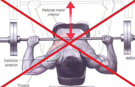 Supino Inclinado com Barra - Exercício para Peito 
