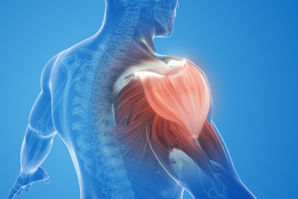 Retração na lesão do manguito rotador: o que é e qual a importância?