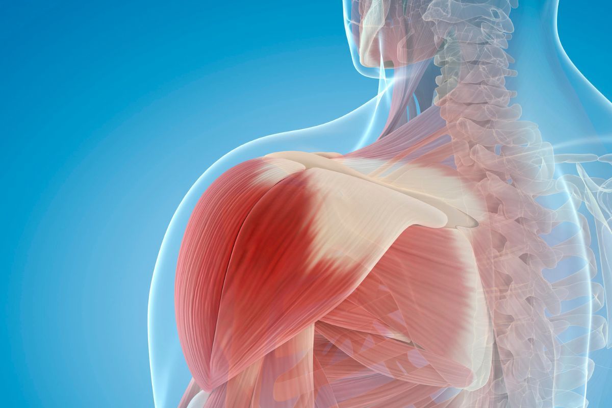Tratamento de ombro sem cirurgia: será que é uma boa opção?