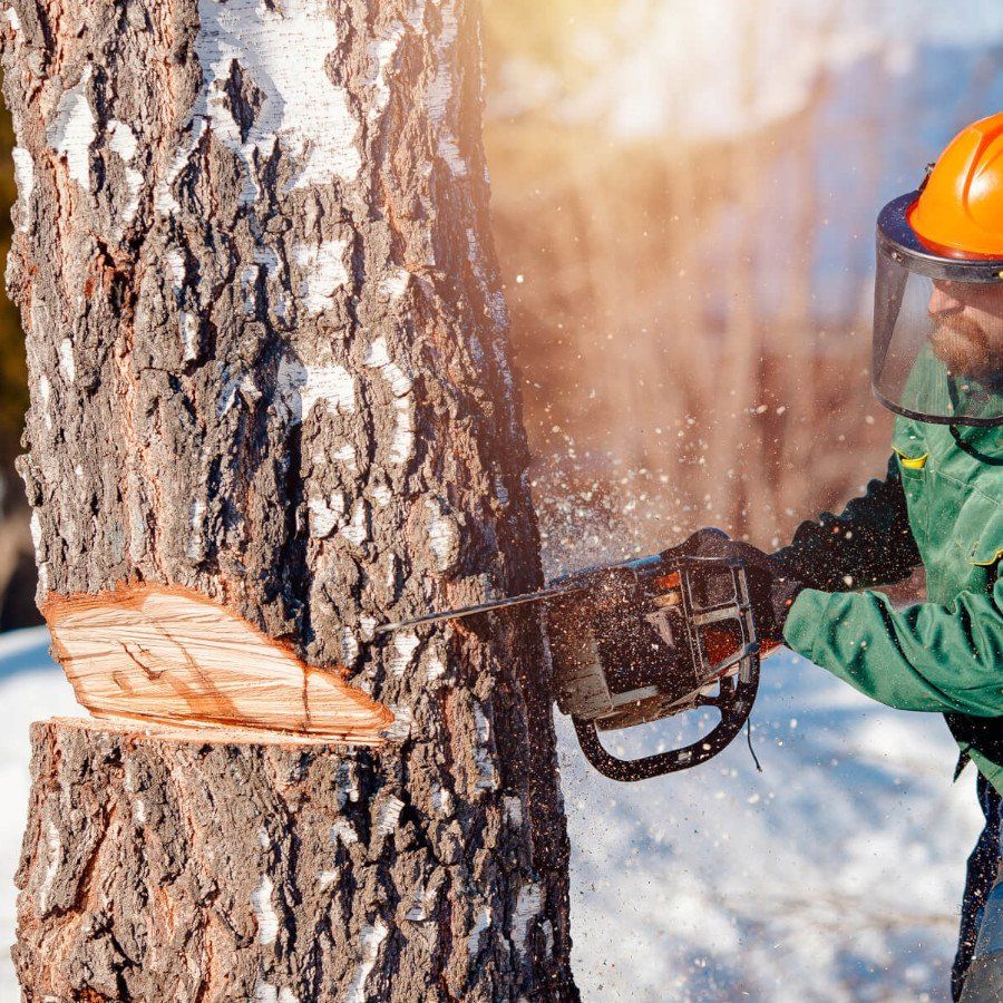 tree cutting irvine ca
