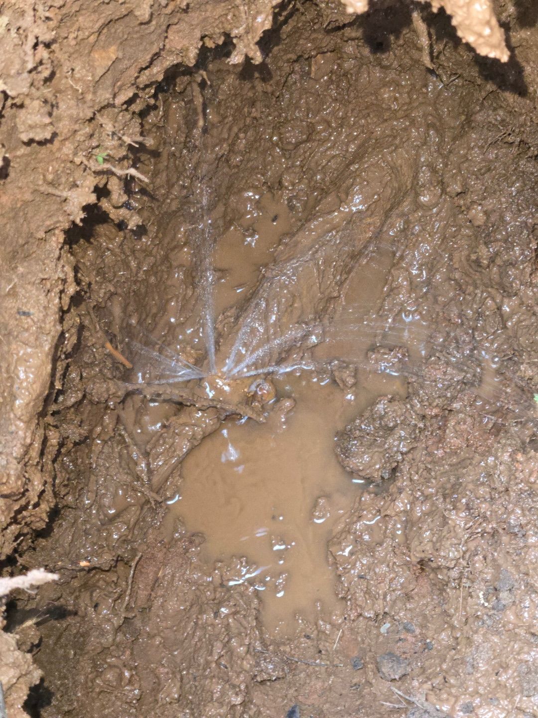 A leak detection service in Rogers, AR by Masters of Disasters Leak Detection