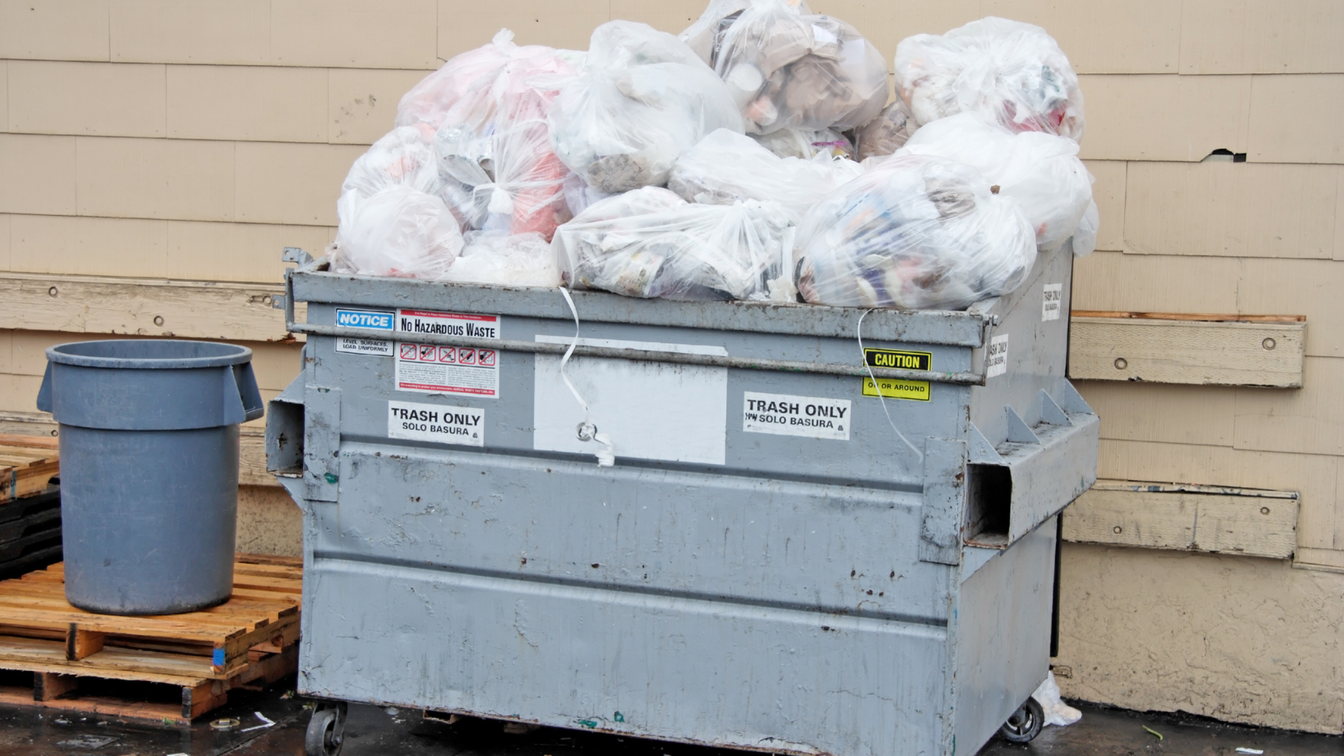 Roll-off Dumpster Rentals