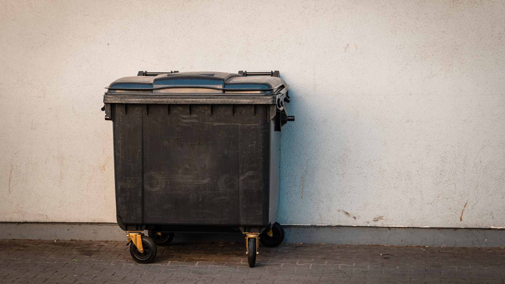 30 Yard Dumpster Rental