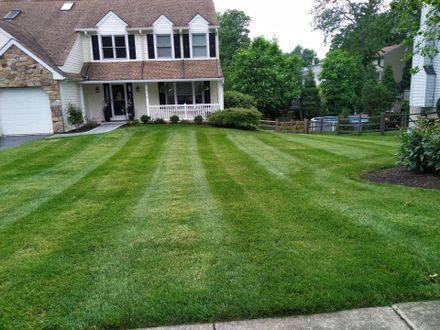 Examine This Report about Lawn Care And Landscaping