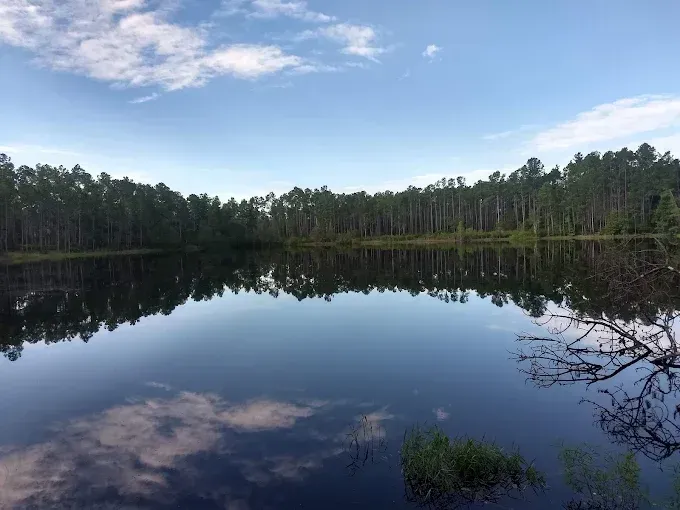 Still water reflects a forest and blue sky with clouds.
