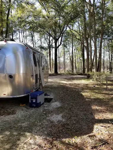 Silver camper parked in a clearing surrounded by tall trees in a forest; cooler visible outside.