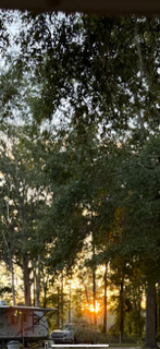 Sunset through trees with a camper and truck in the foreground.