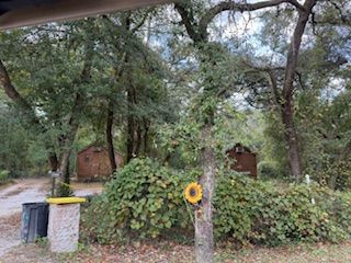 Campsite scene with cabins, lush greenery, and a sunflower decoration on a tree trunk.
