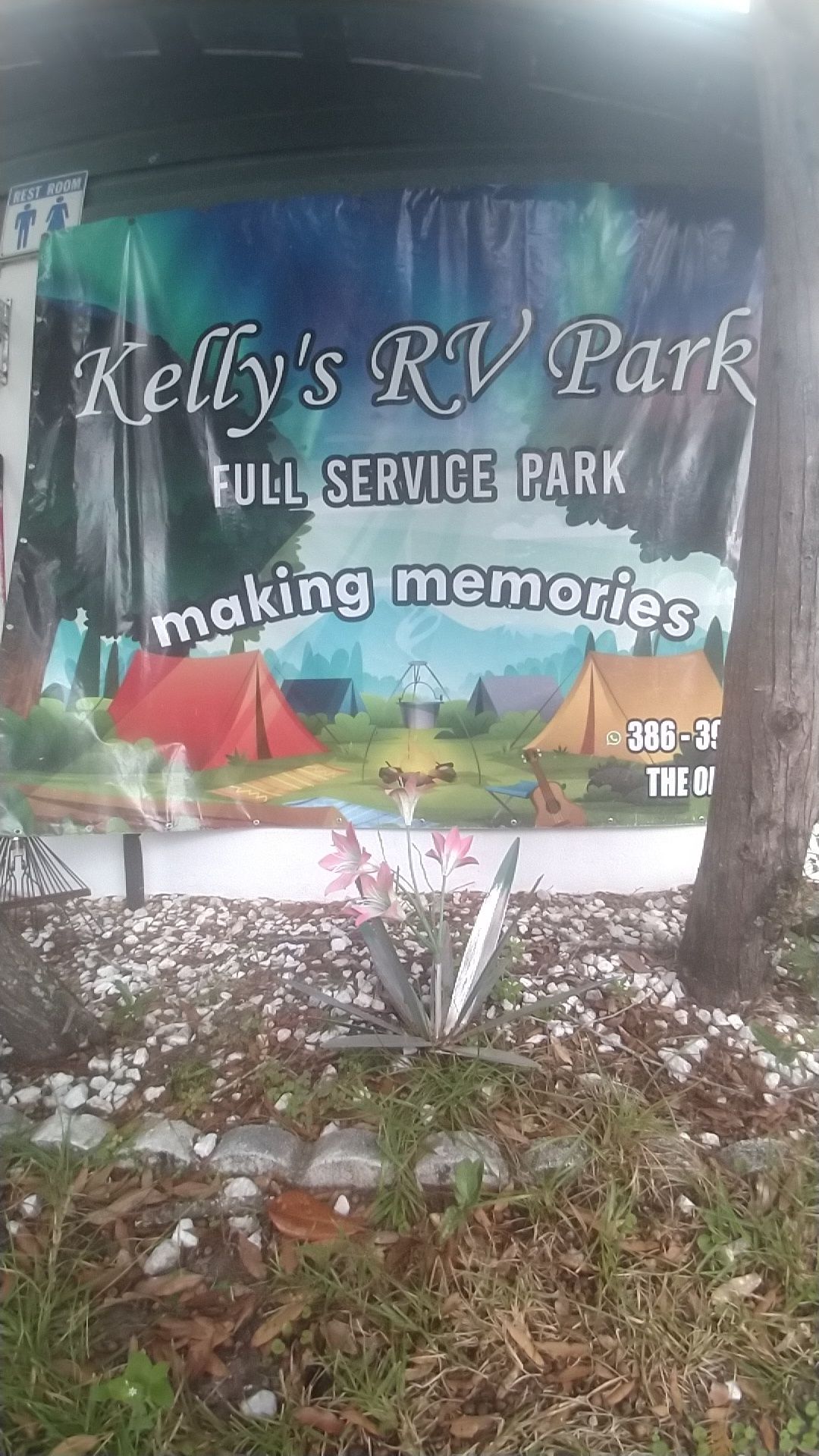 RV campground with trees, asphalt road, RVs parked along the sides.