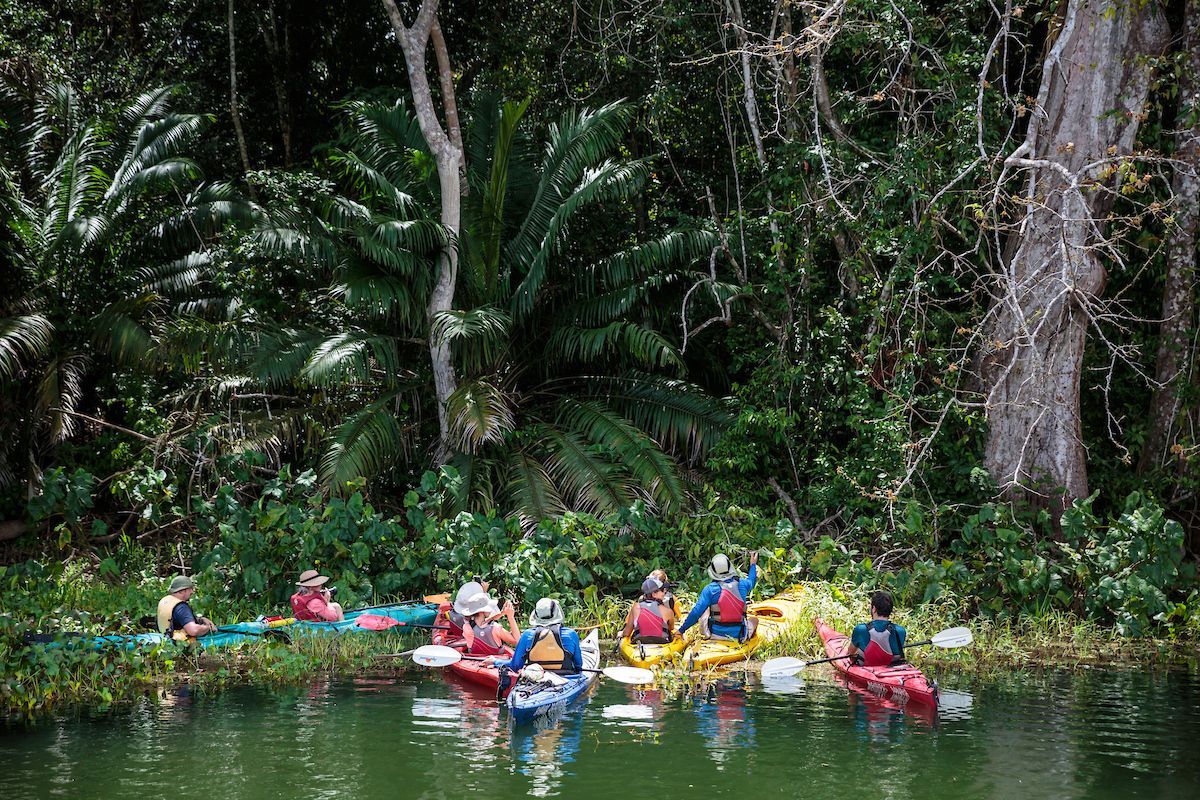 Tour de kayak en Gamboa