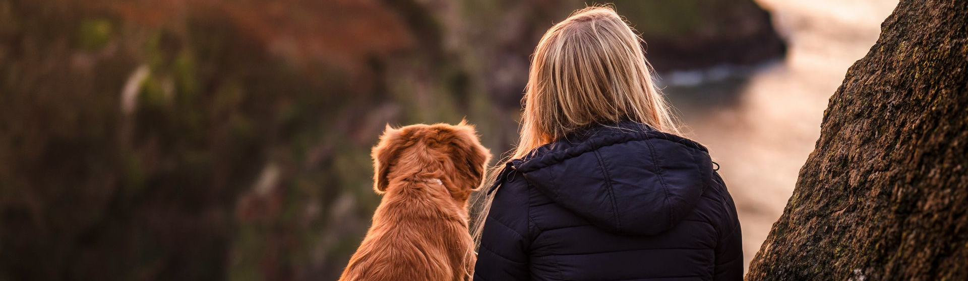 Uma pessoa e um cachorro observam a água de um penhasco. Tons quentes de pôr do sol.