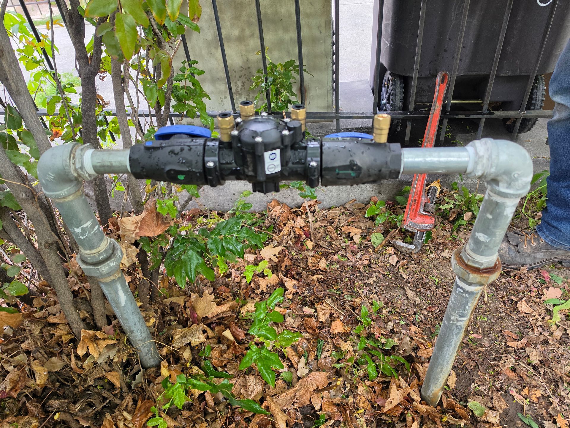 Outdoor gas pipes with a black regulator valve amid leaves and grass under a building.