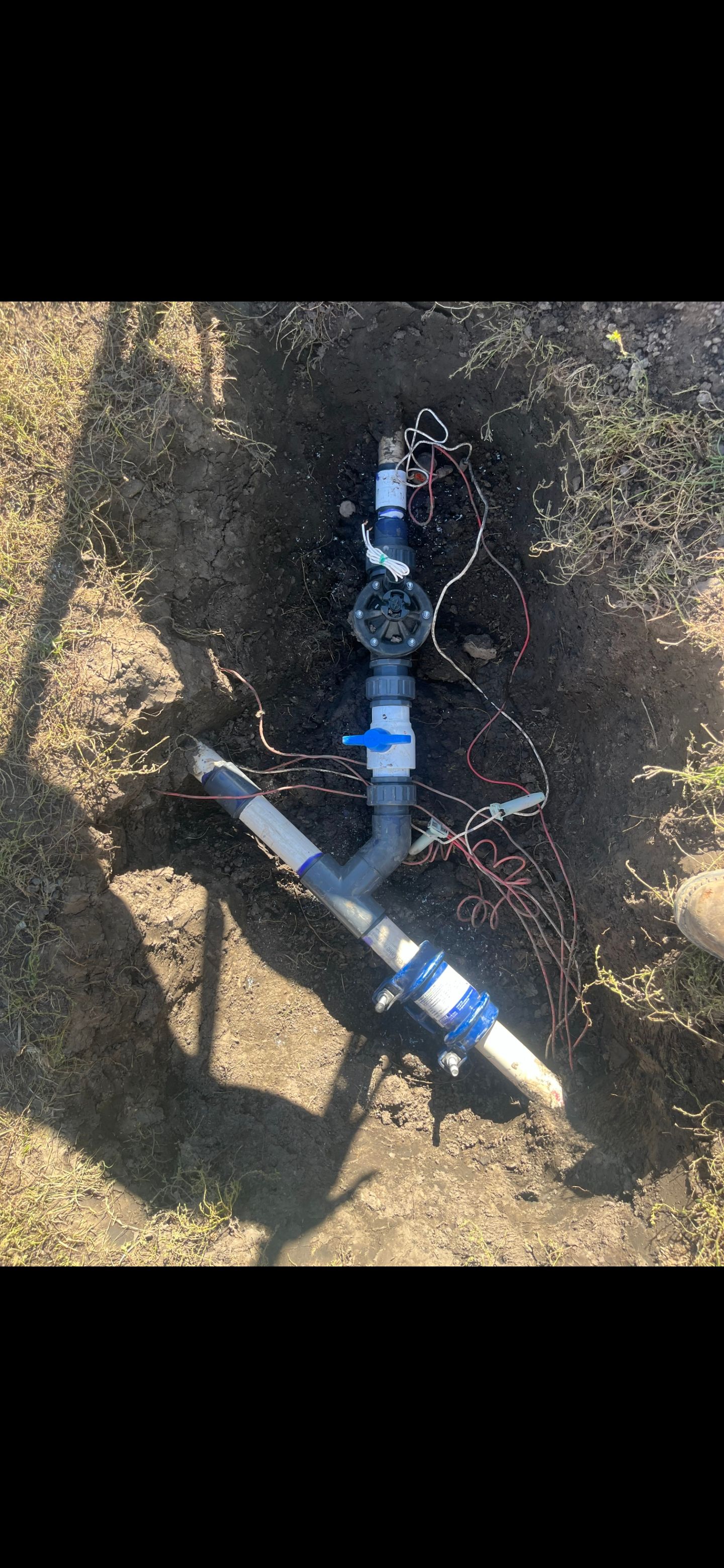 Overhead view of a blue irrigation sprinkler valve assembly in dirt with attached black hoses