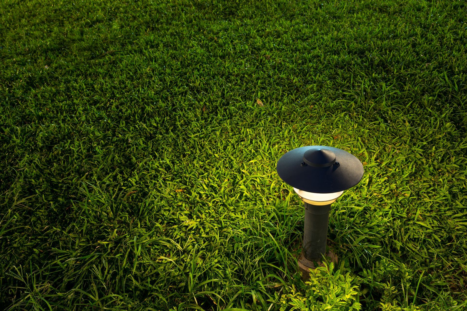 Small garden path light glowing in dense green grass at night