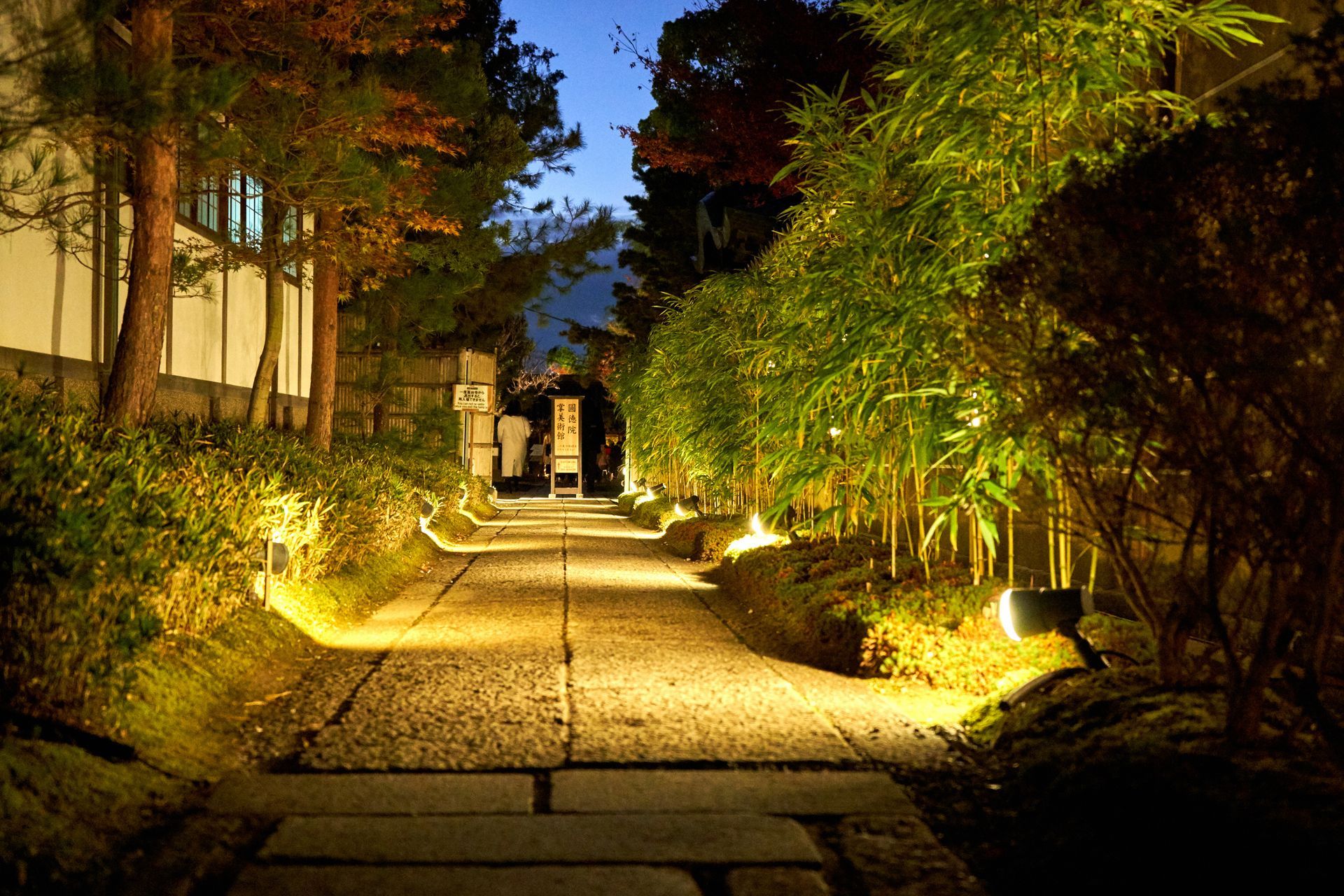 Lit stone path through a bamboo-lined garden at night, warmly illuminated by ground lights