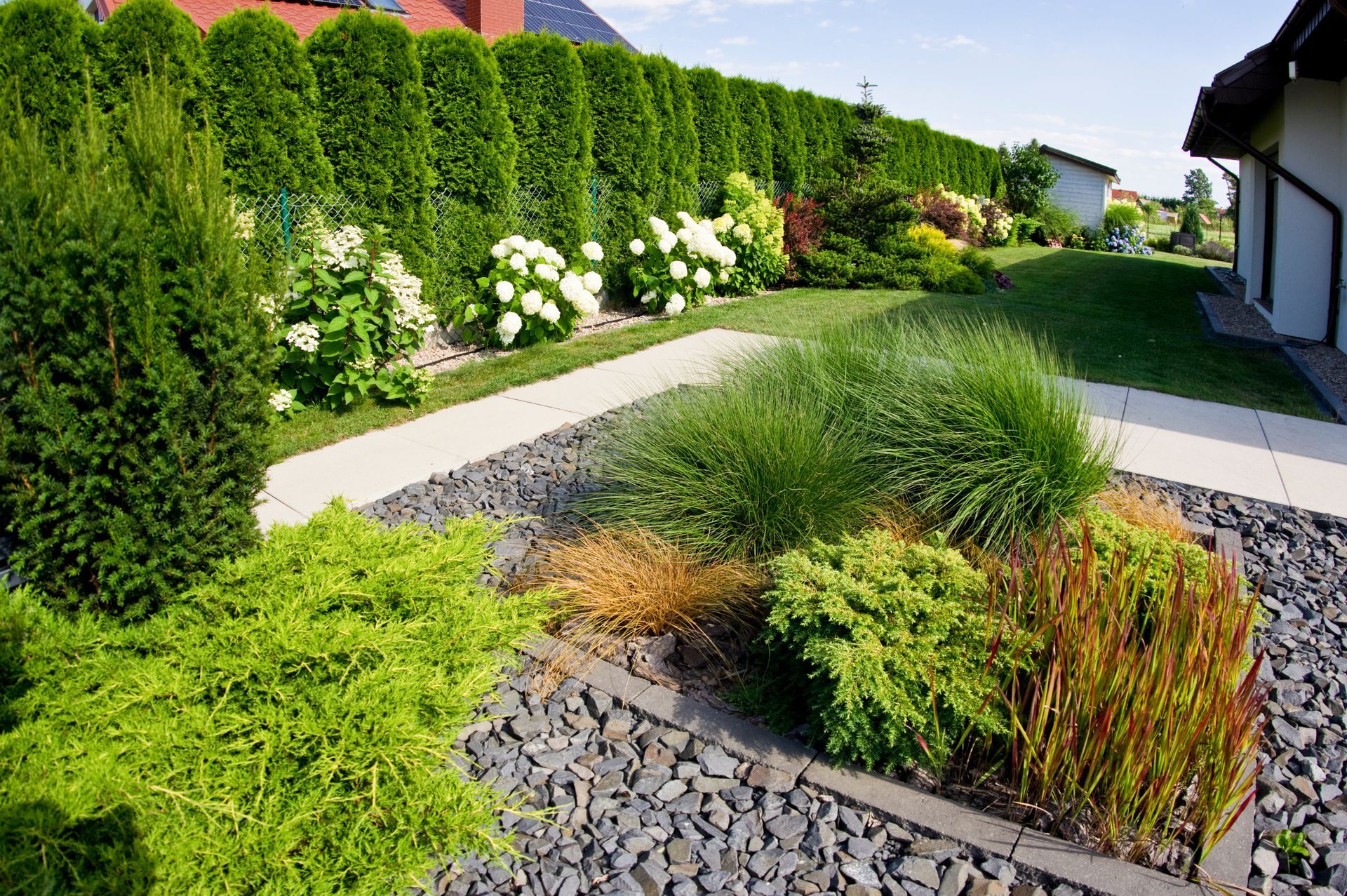Landscaped garden with gravel beds, green shrubs, white flowers, and a hedge-lined path beside a house