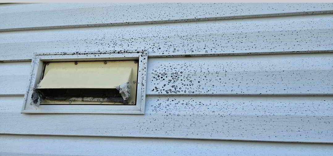 A close-up of a window on the side of a house.