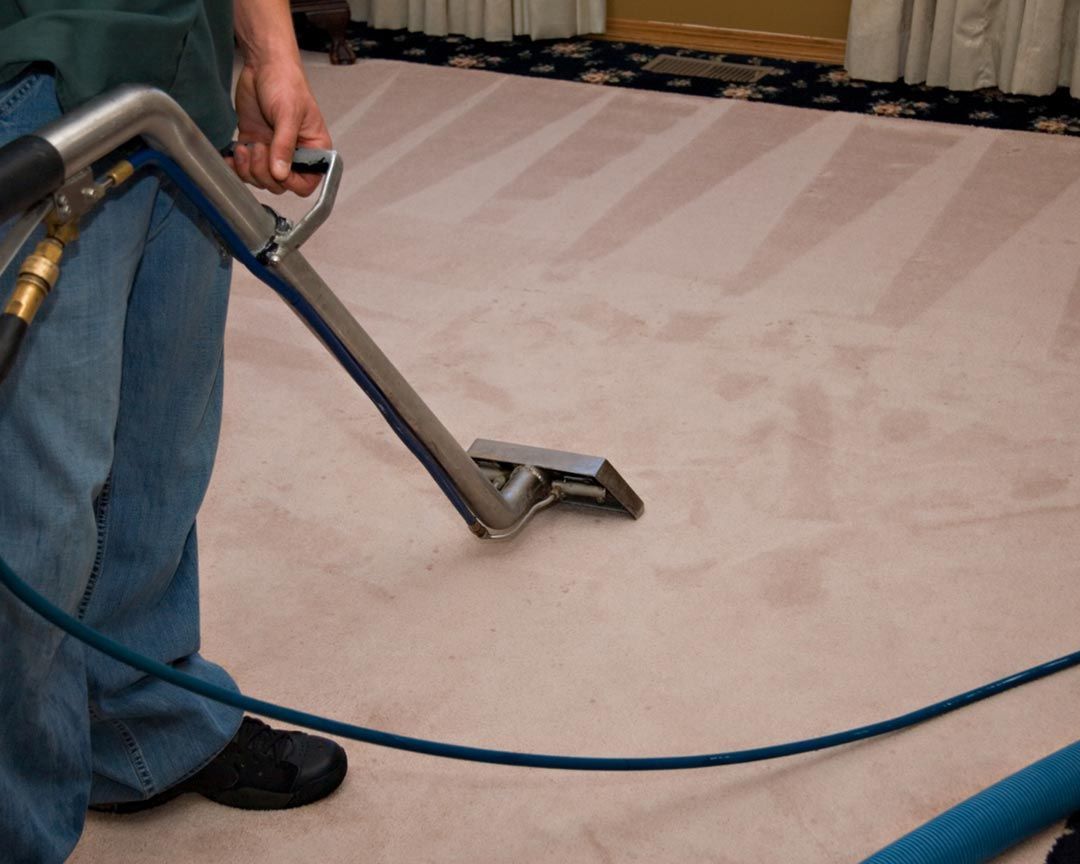 A person is cleaning a carpet with a vacuum cleaner