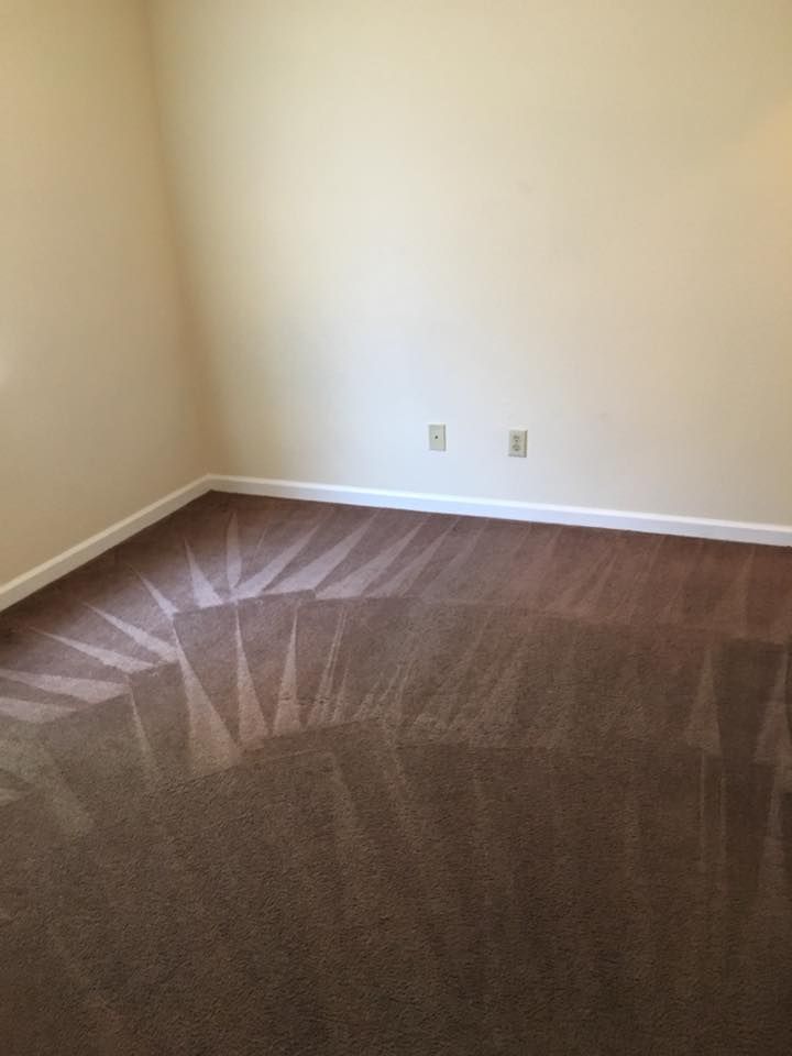 An empty room with a brown carpet and white walls.