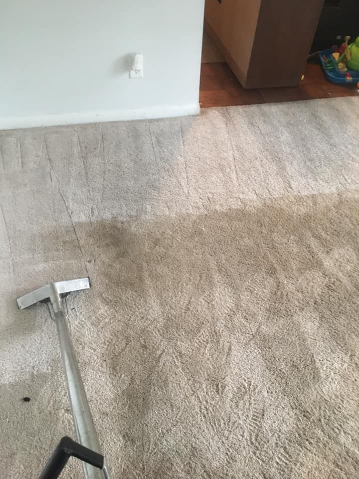 A vacuum cleaner is cleaning a carpet in a living room.