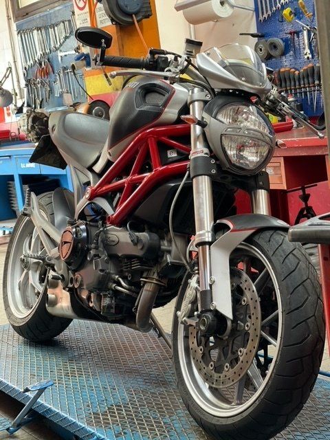 ducati monster