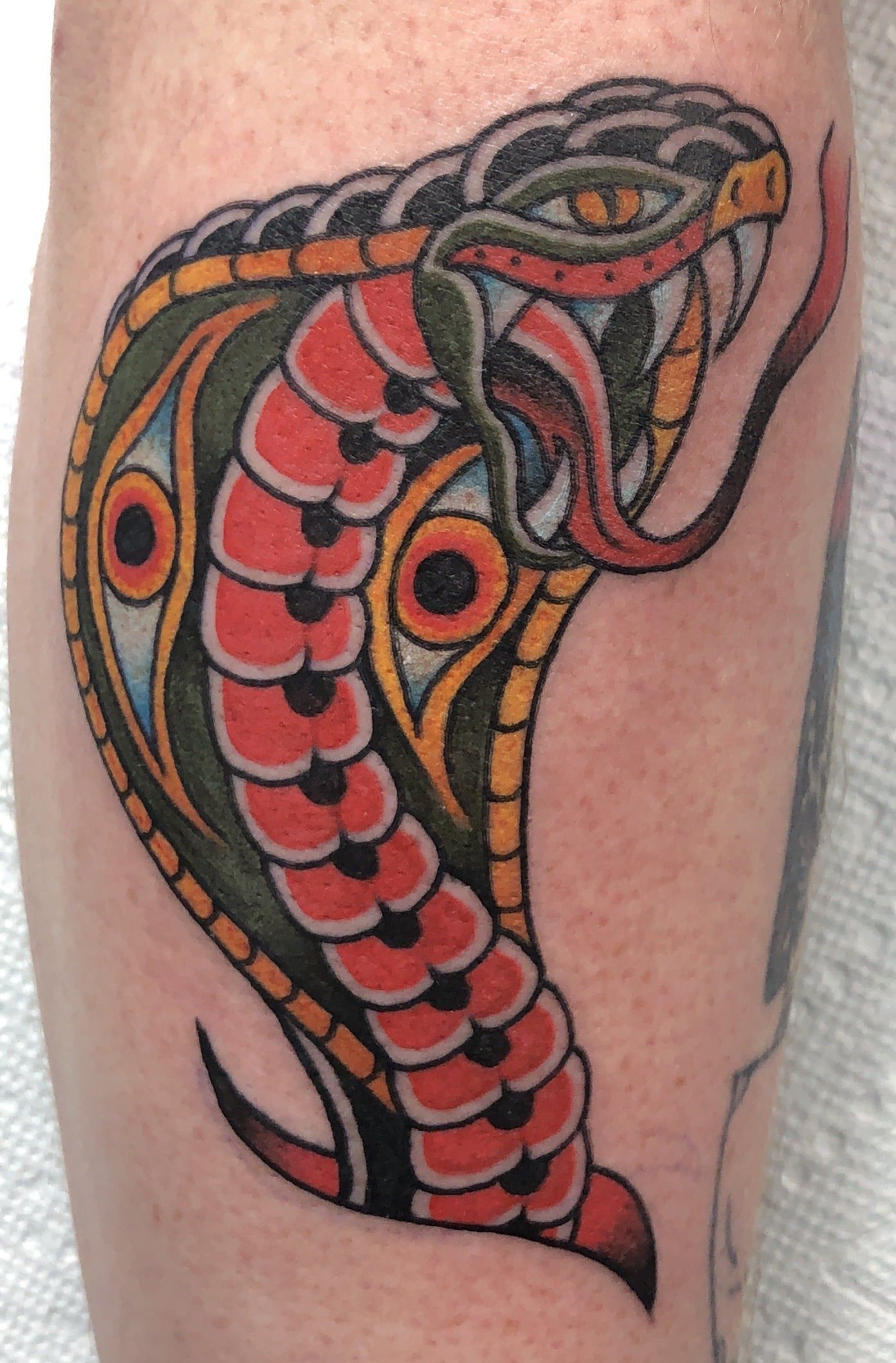 Snake Tattoo — Olympia, WA — Lo and Behold Tattoo