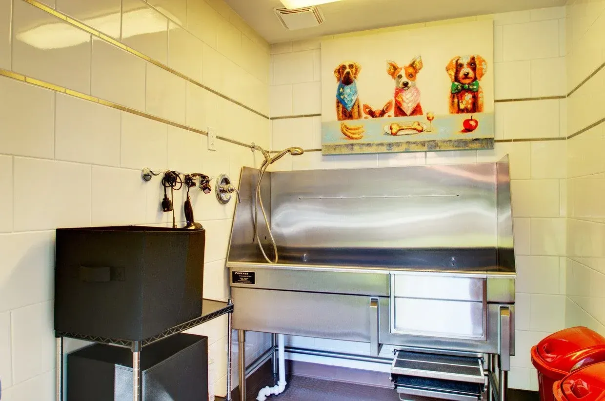 Dog wash station with stainless steel tub, framed dog artwork, and black storage at Westward Heights in Denver, CO.