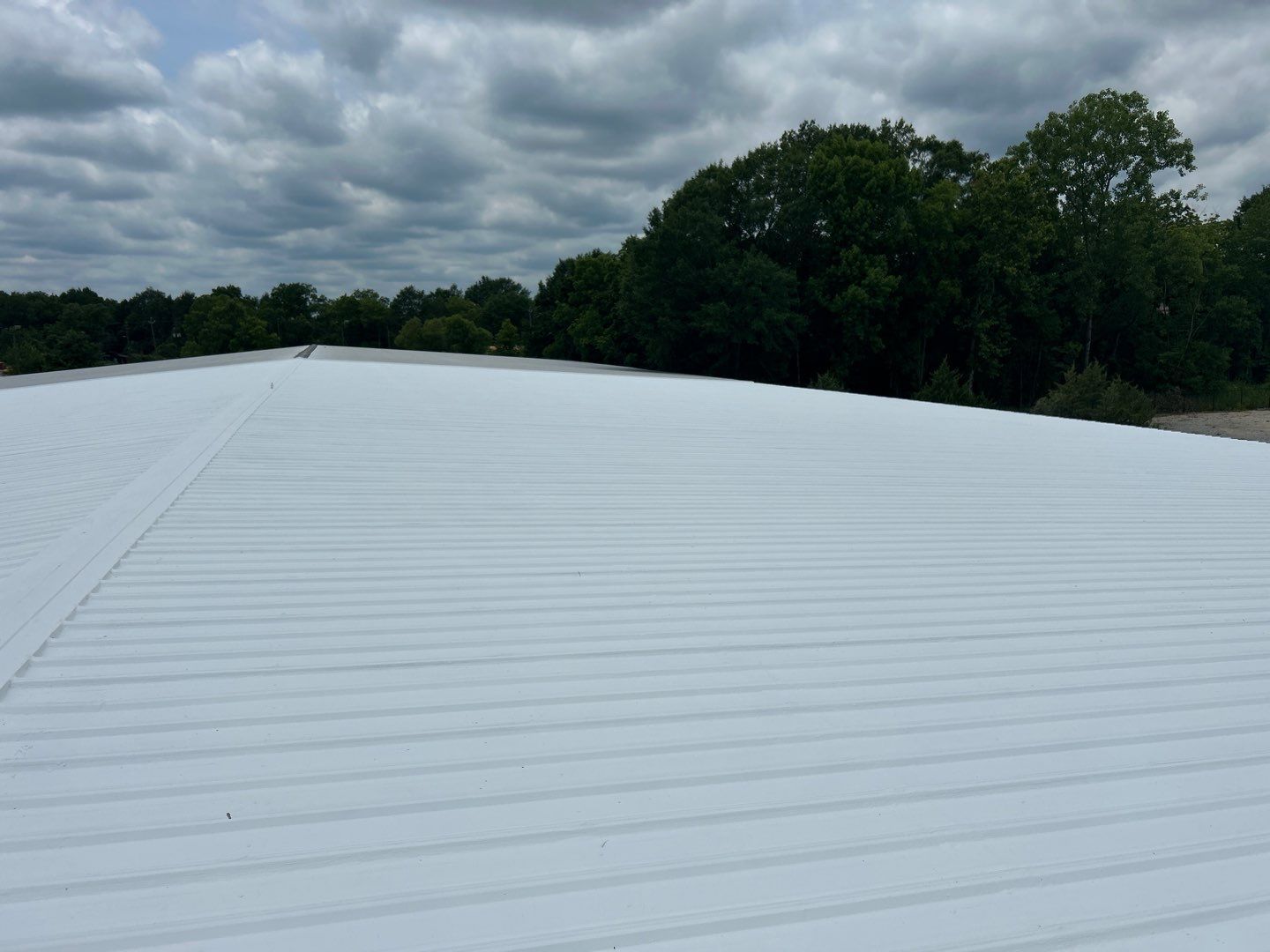 A white roof with trees in the background on a cloudy day.