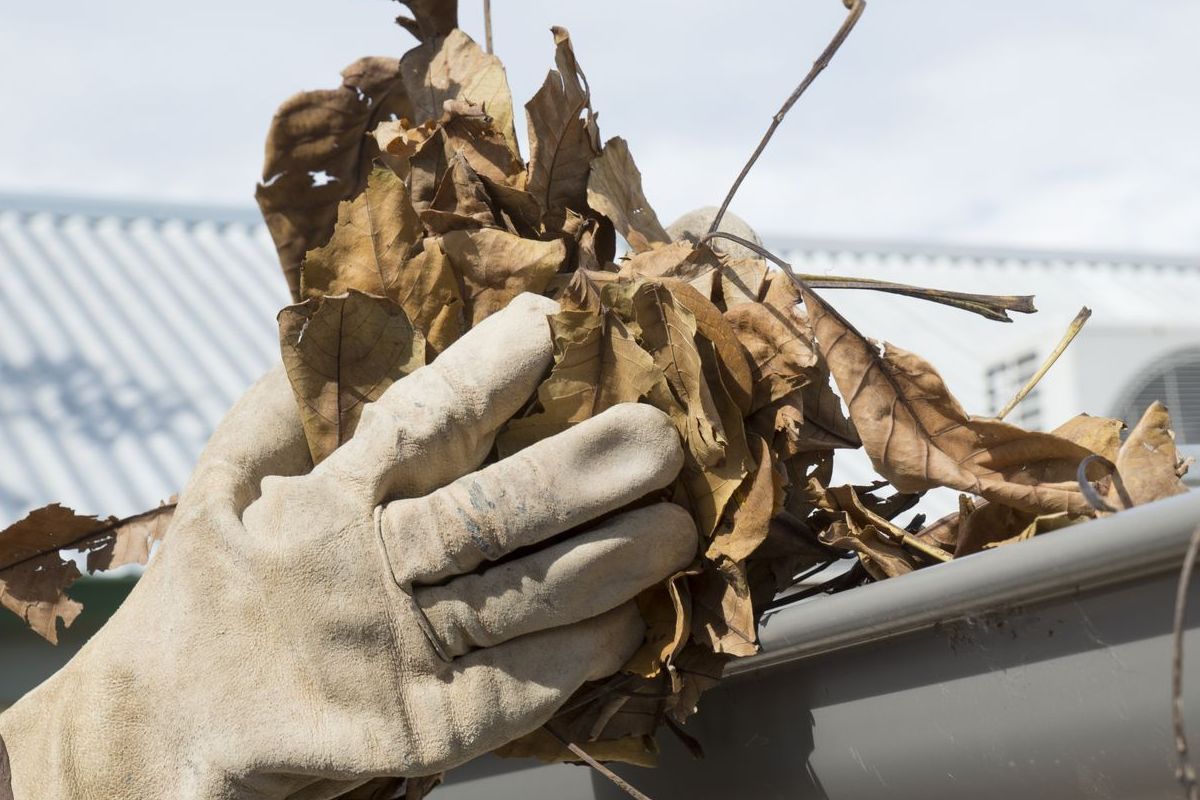 A person wearing gloves is cleaning a gutter with leaves.
