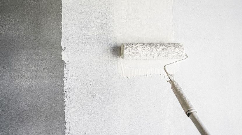 A paint roller applying white paint to a concrete wall, leaving a painted stripe.